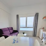 Gaviota Puerto de la Cruz (Tenerife)