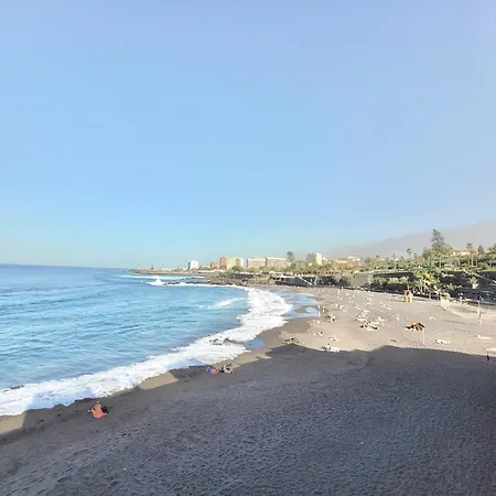 Gaviota * Puerto de la Cruz (Tenerife)
