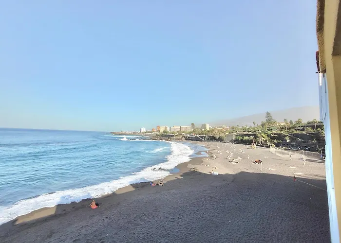 Gaviota * Puerto de la Cruz (Tenerife)